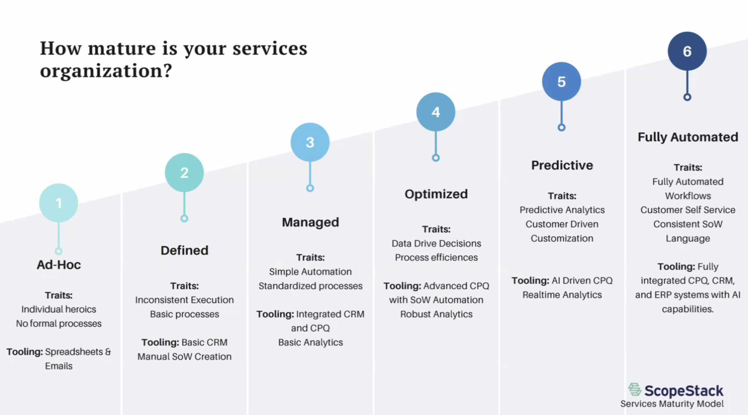 6 levels of professional service maturity